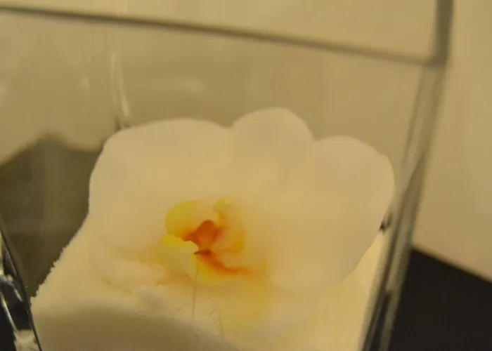 Bed & Breakfast Zara 74 2*