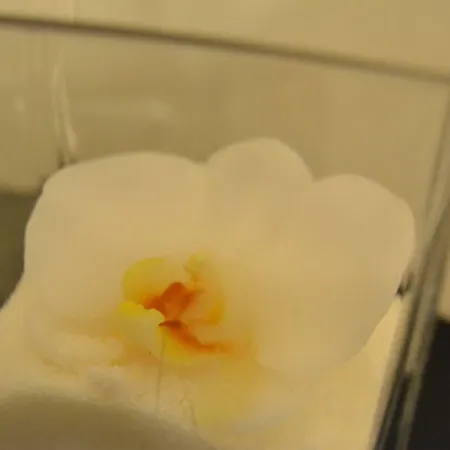 Nocleg ze śniadaniem Zara 74 2*